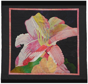 Image - pink lily on dark background
